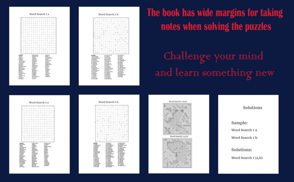 a journey through puzzles